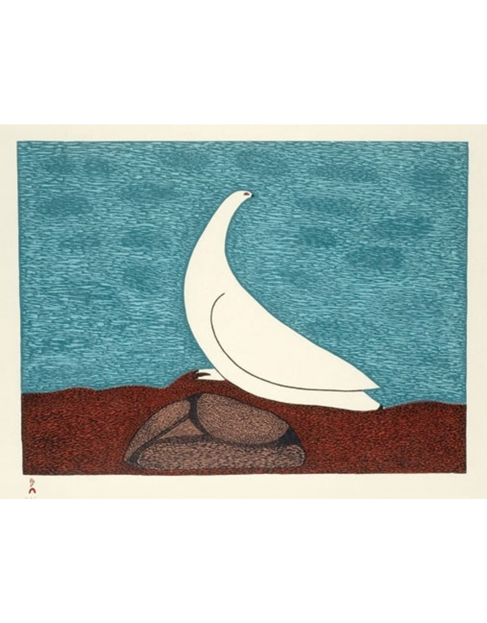 Cape Dorset Aqigirq  - Rock Ptarmigan