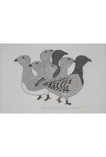 Baker Lake mid summer ptarmigans