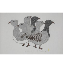 Baker Lake mid summer ptarmigans
