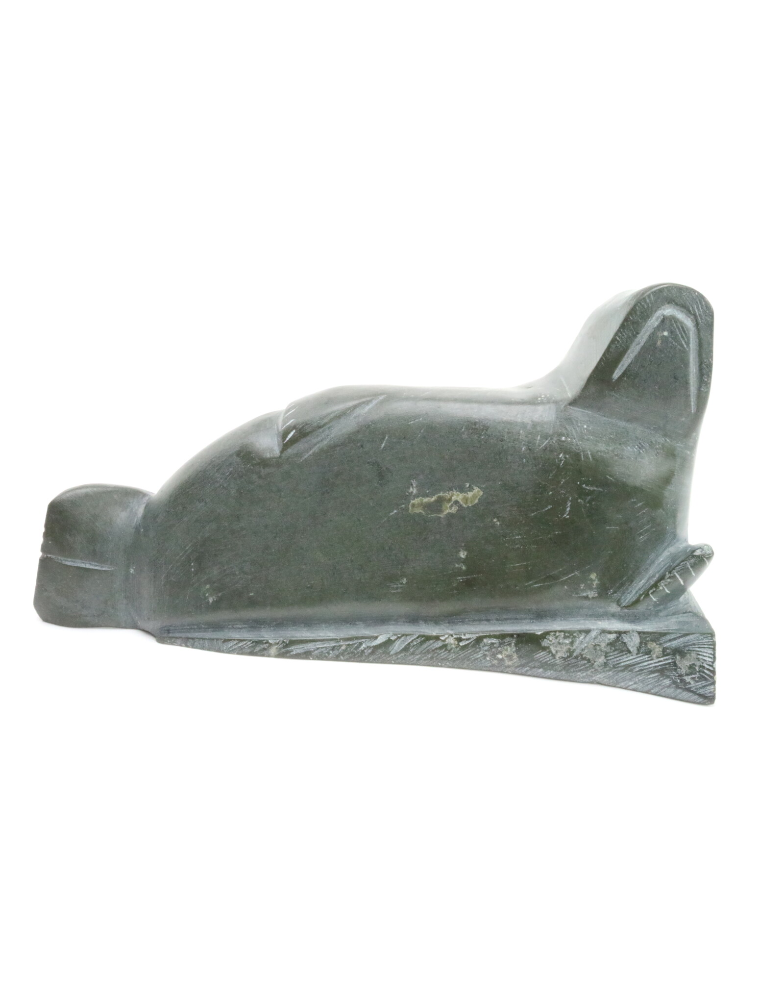 Inukjuak Seal -Timothy
