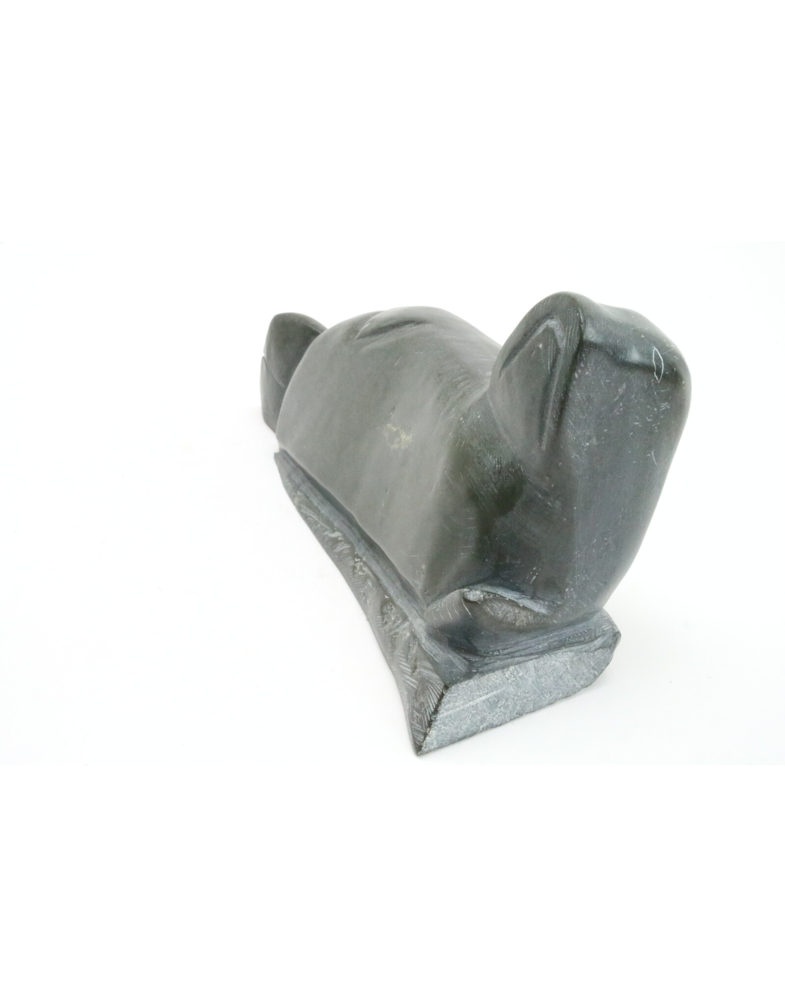 Inukjuak Seal -Timothy
