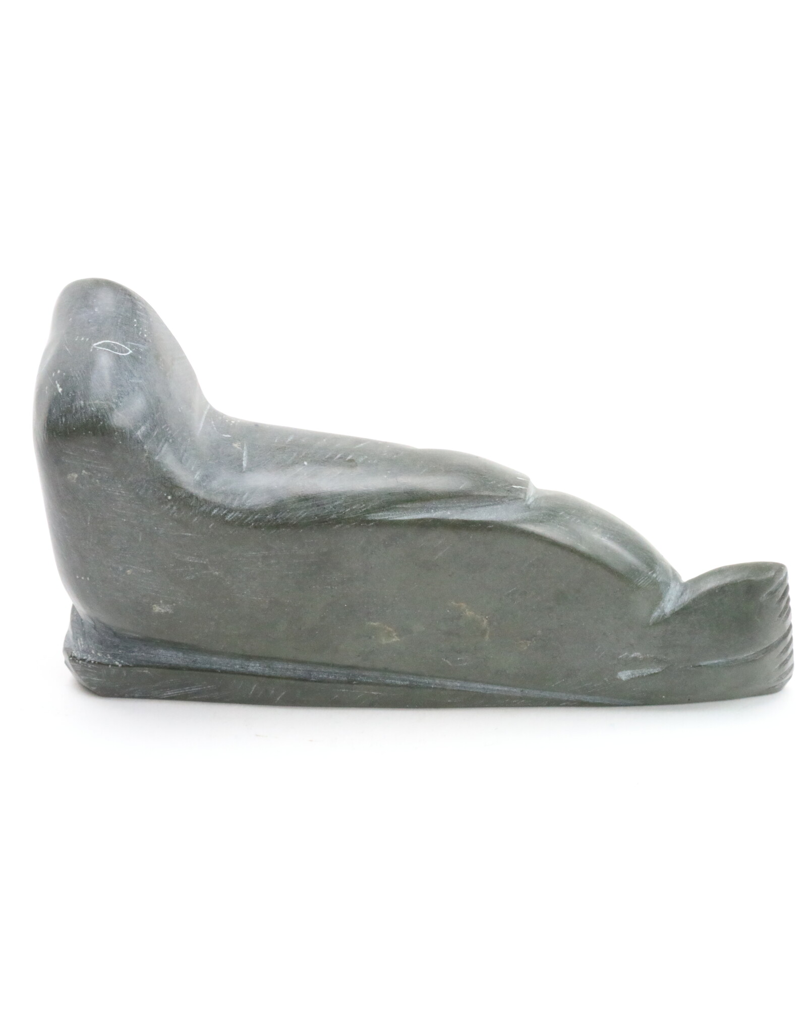 Inukjuak Seal -Timothy