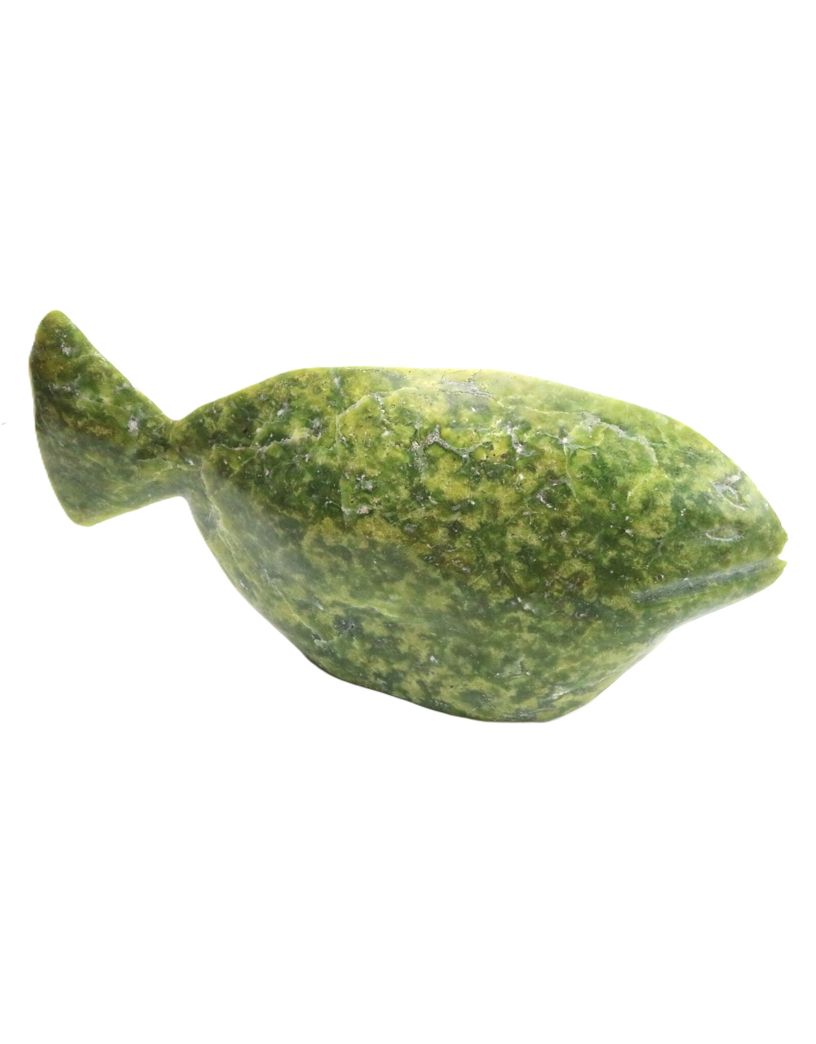 Lake Harbour Fish -Jack