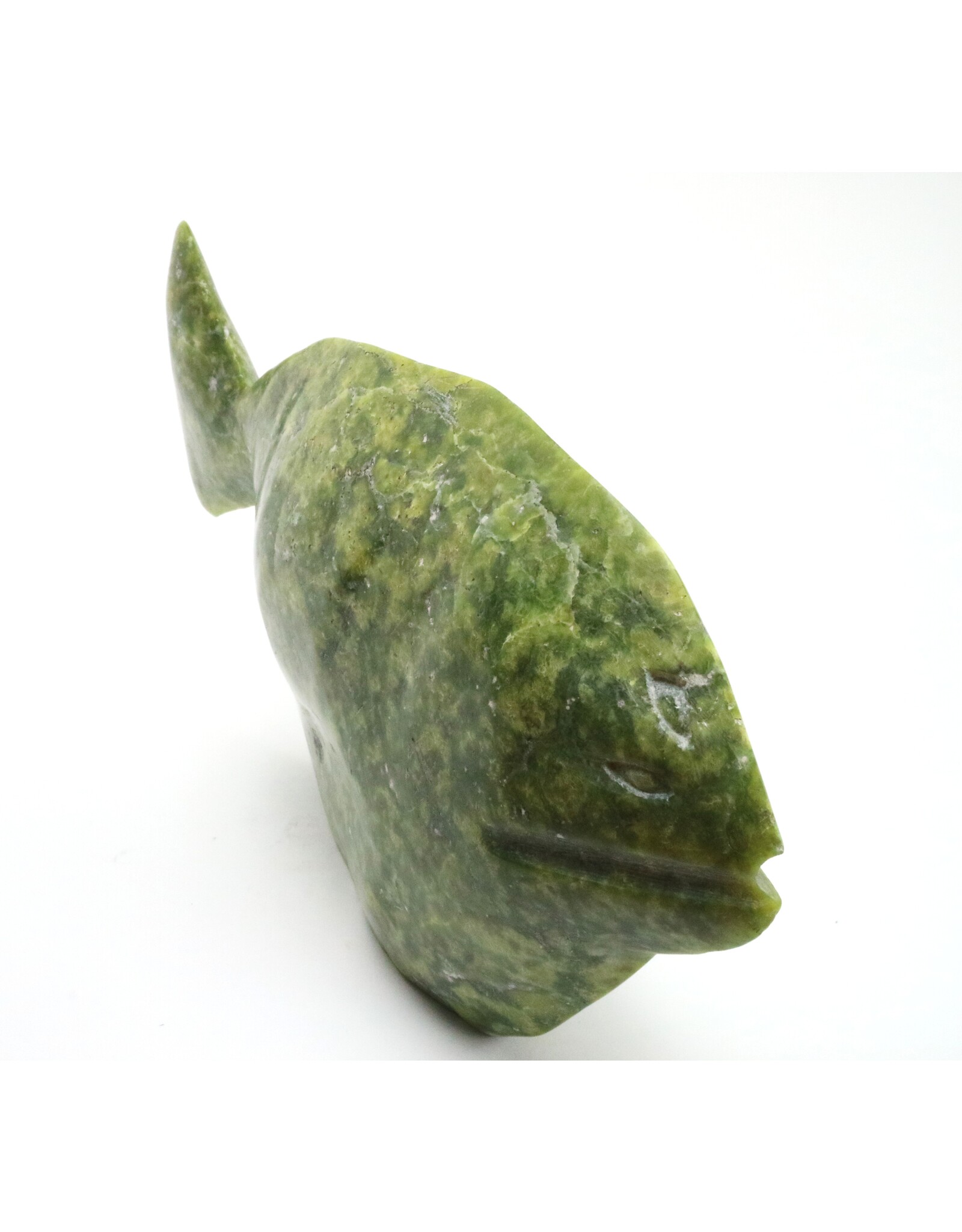 Lake Harbour Fish -Jack