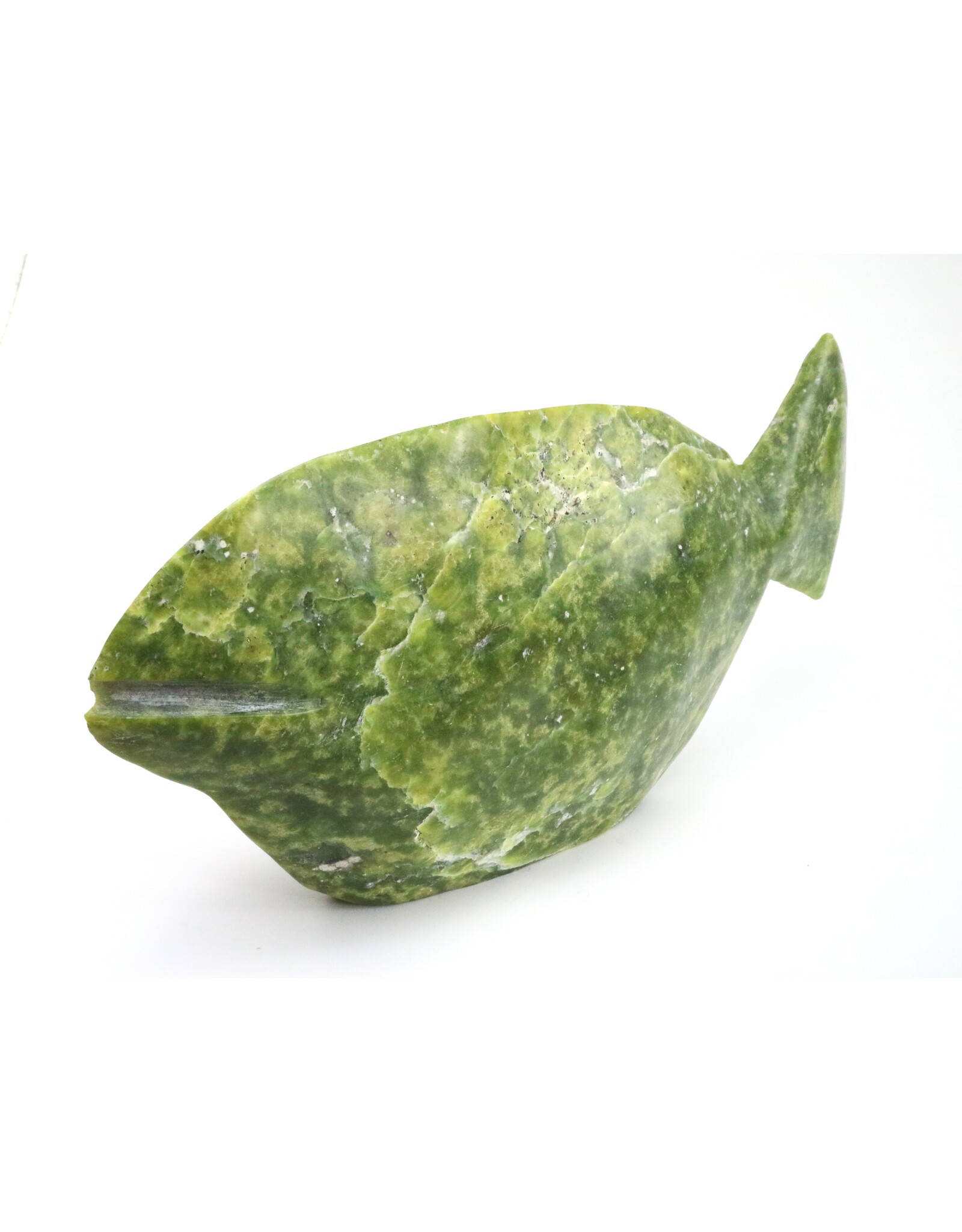 Lake Harbour Fish -Jack