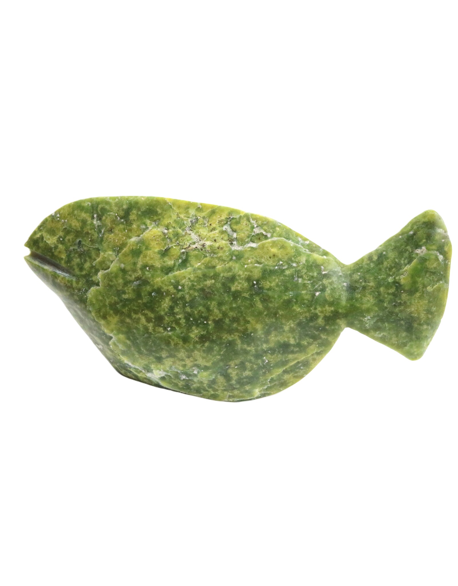 Lake Harbour Fish -Jack