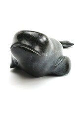 Salluit Beluga