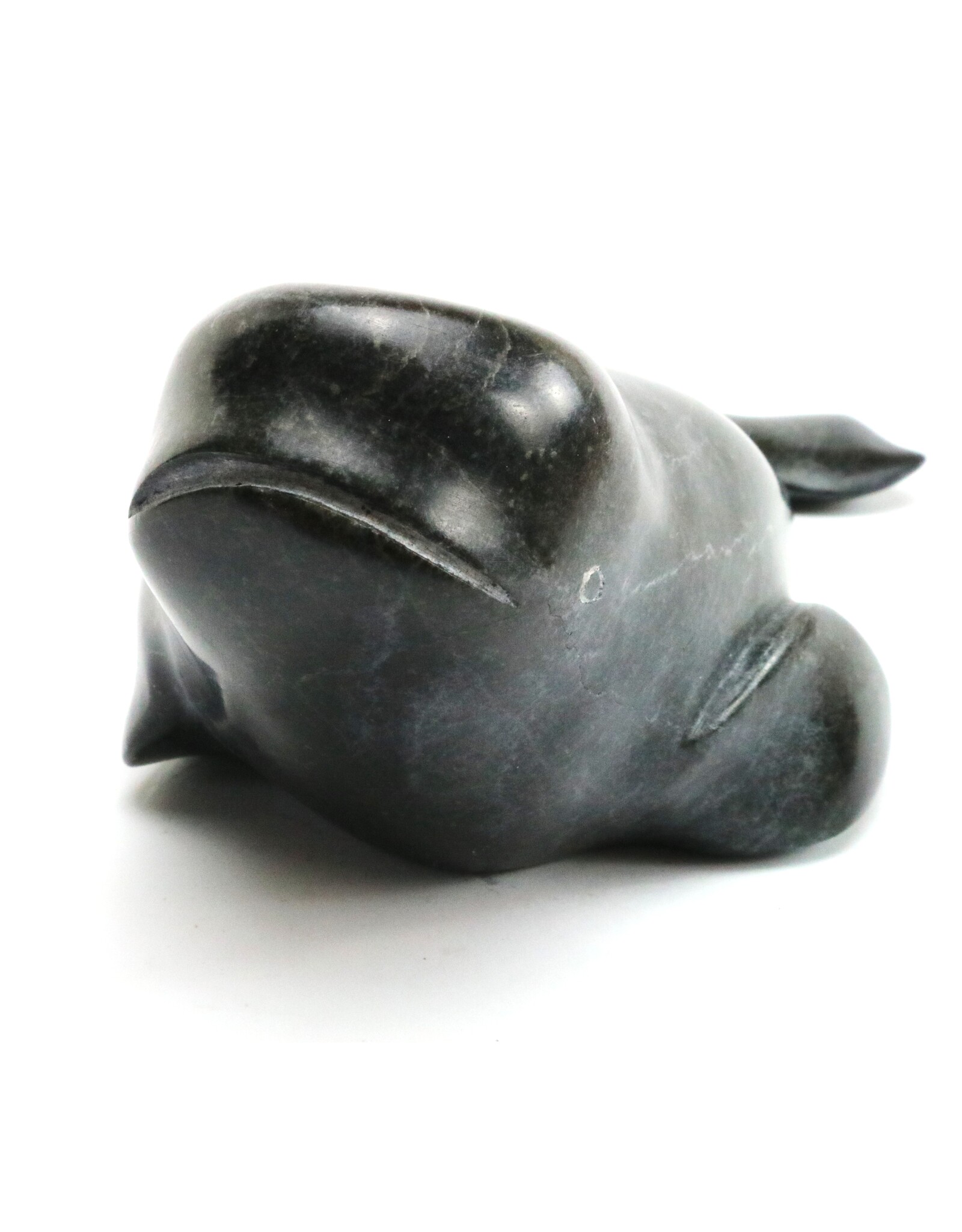 Salluit Beluga