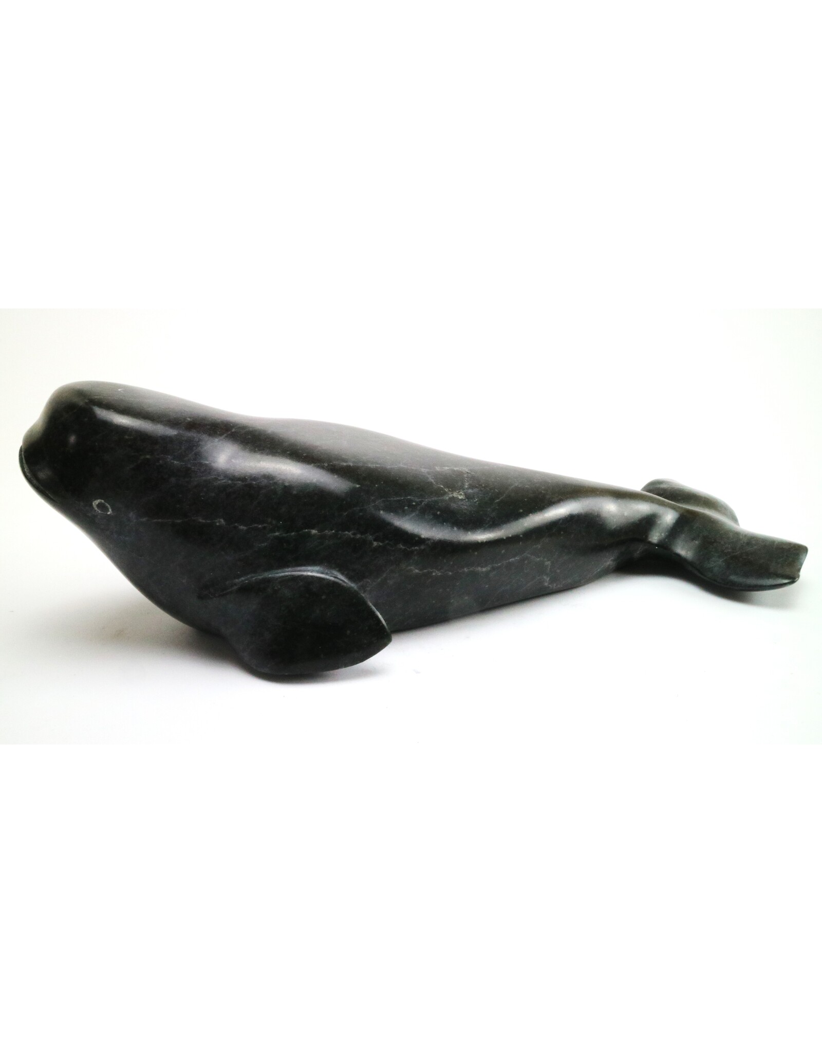 Salluit Beluga