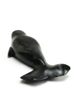 Salluit Beluga