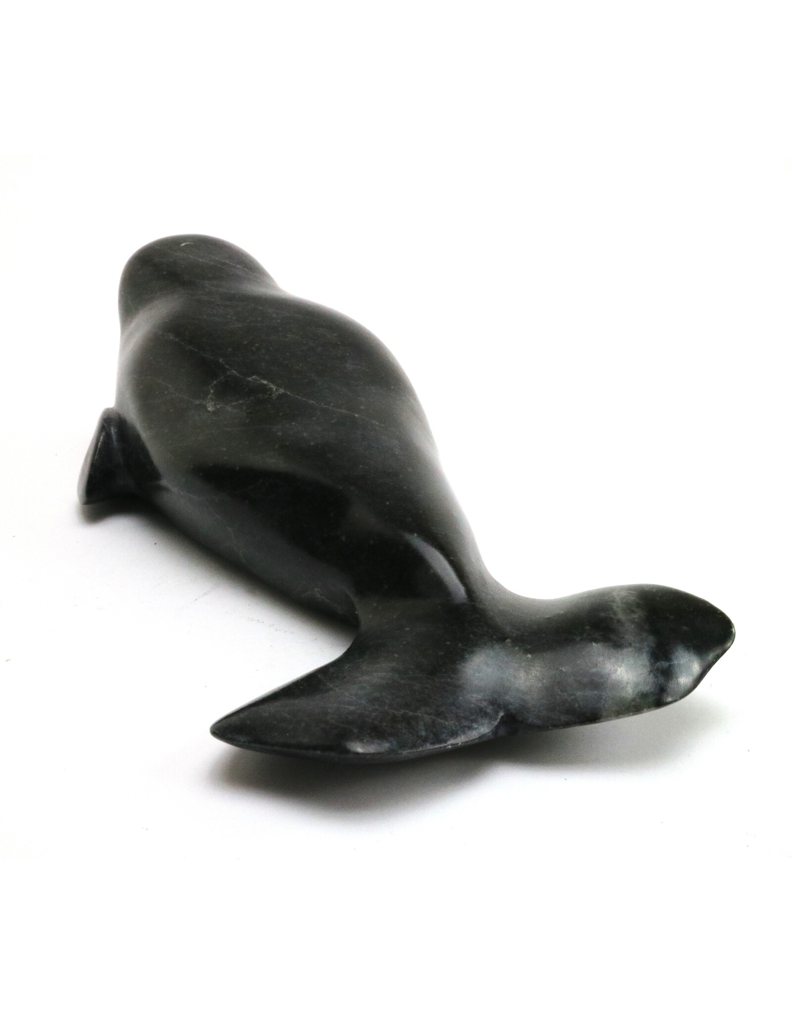 Salluit Beluga