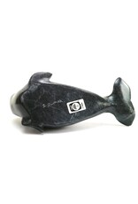 Salluit Beluga