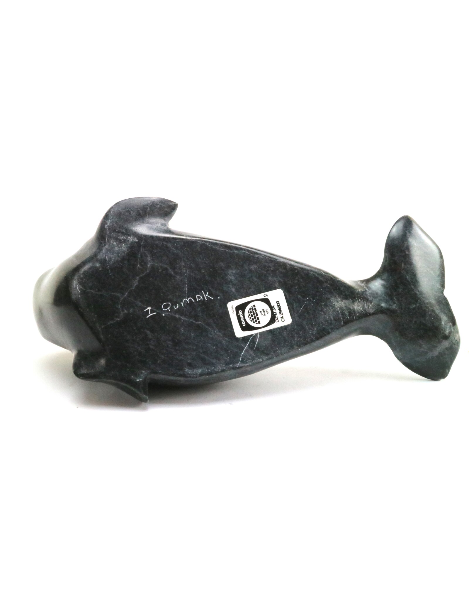 Salluit Beluga