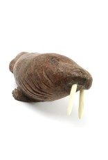 Arviat Walrus