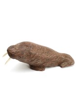 Arviat Walrus