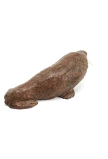 Arviat Walrus