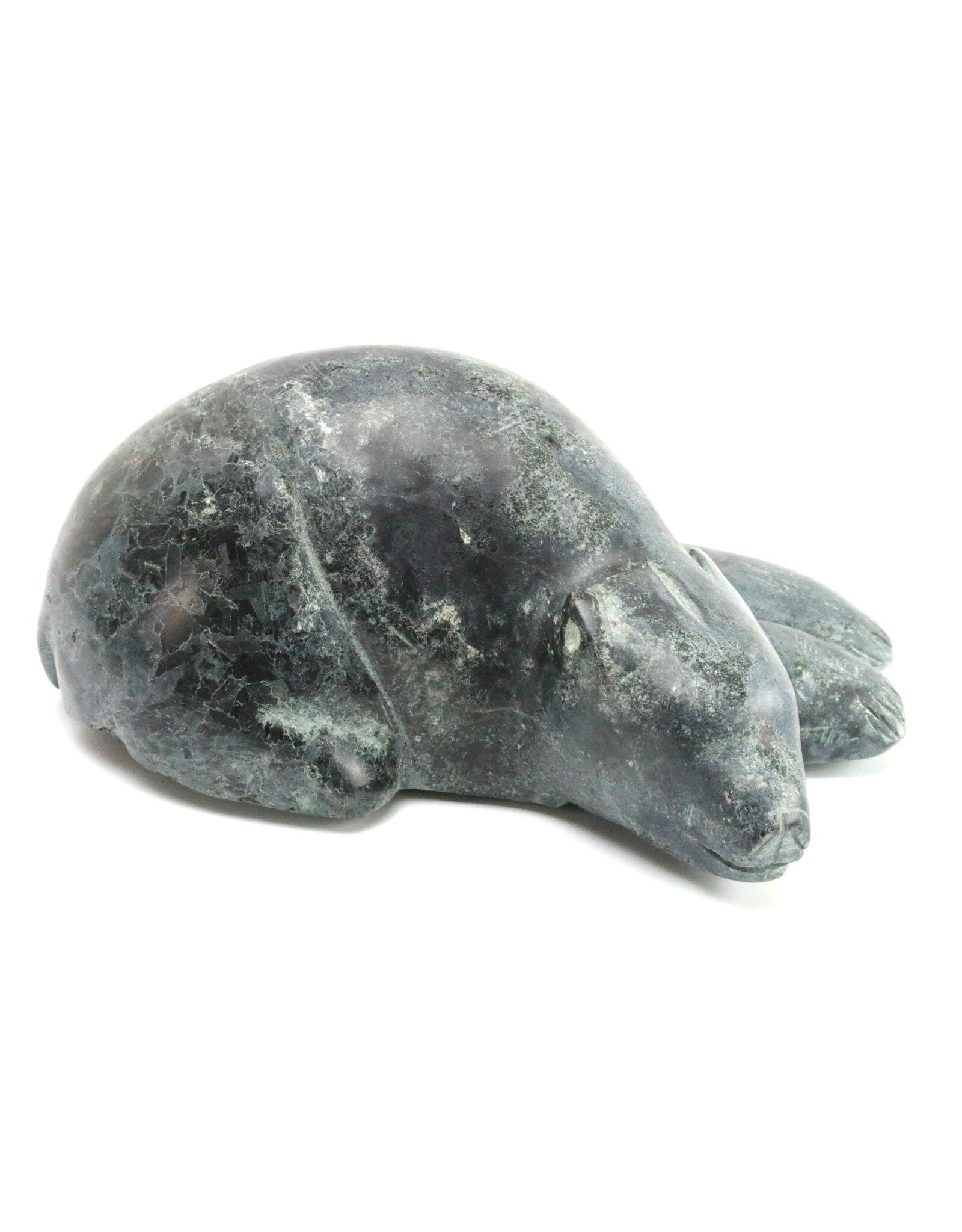 Qikiqtarjuak Sleeping Bear
