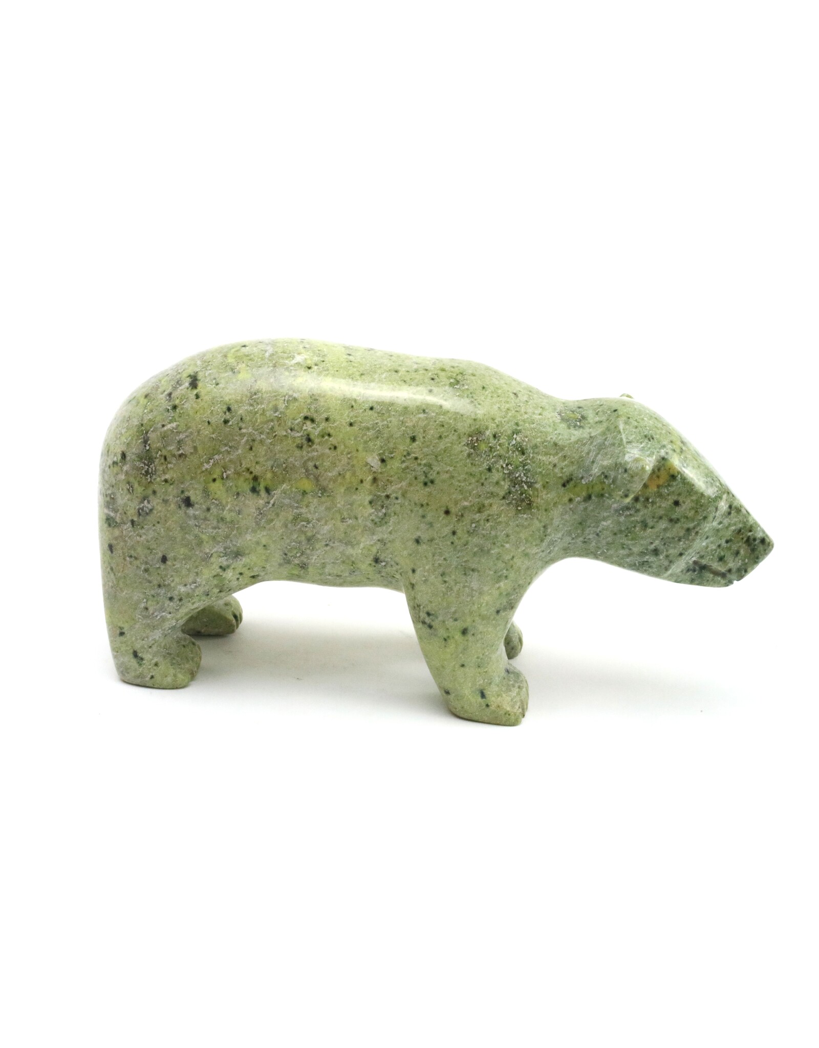 Kimmirut Bear