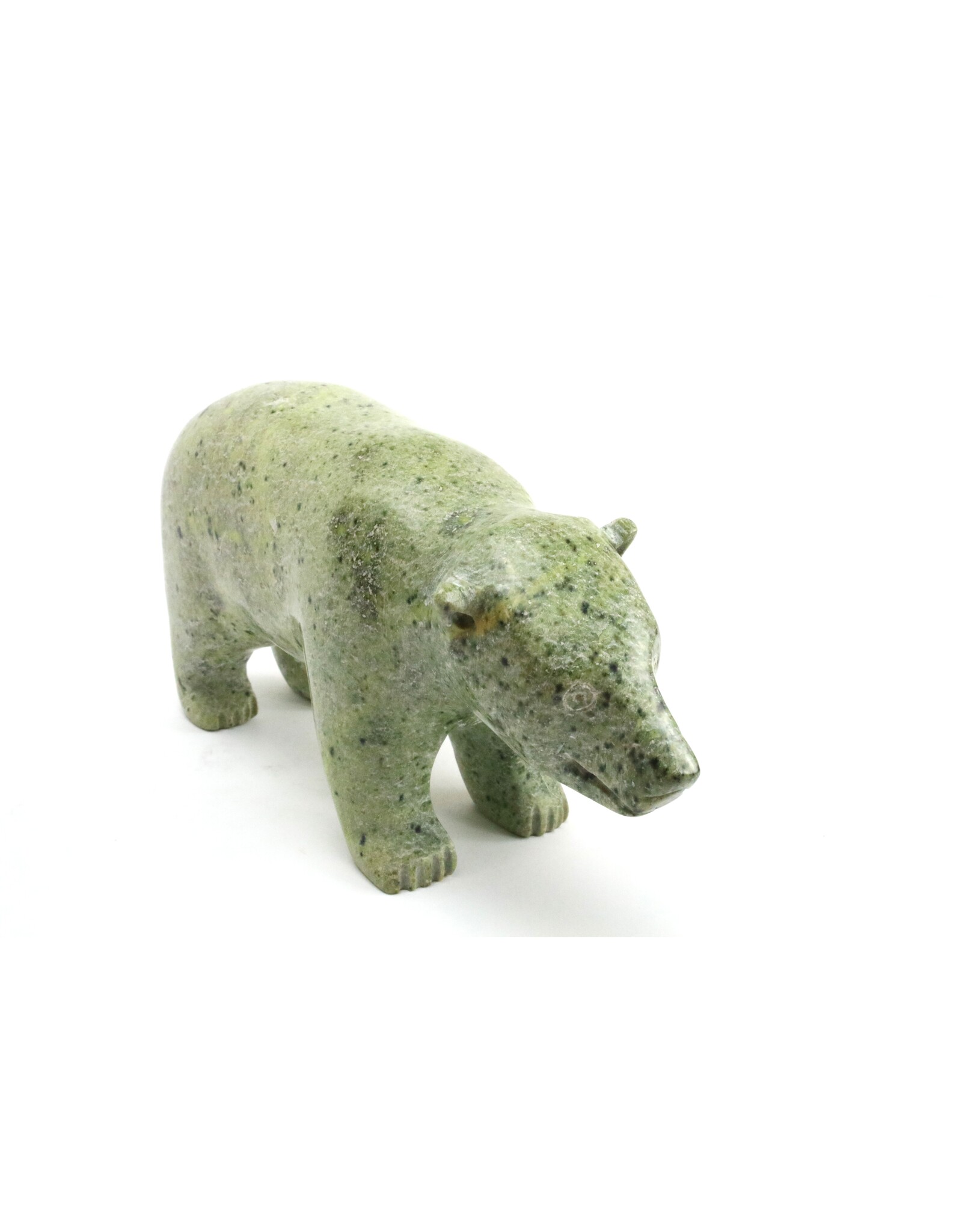 Kimmirut Bear
