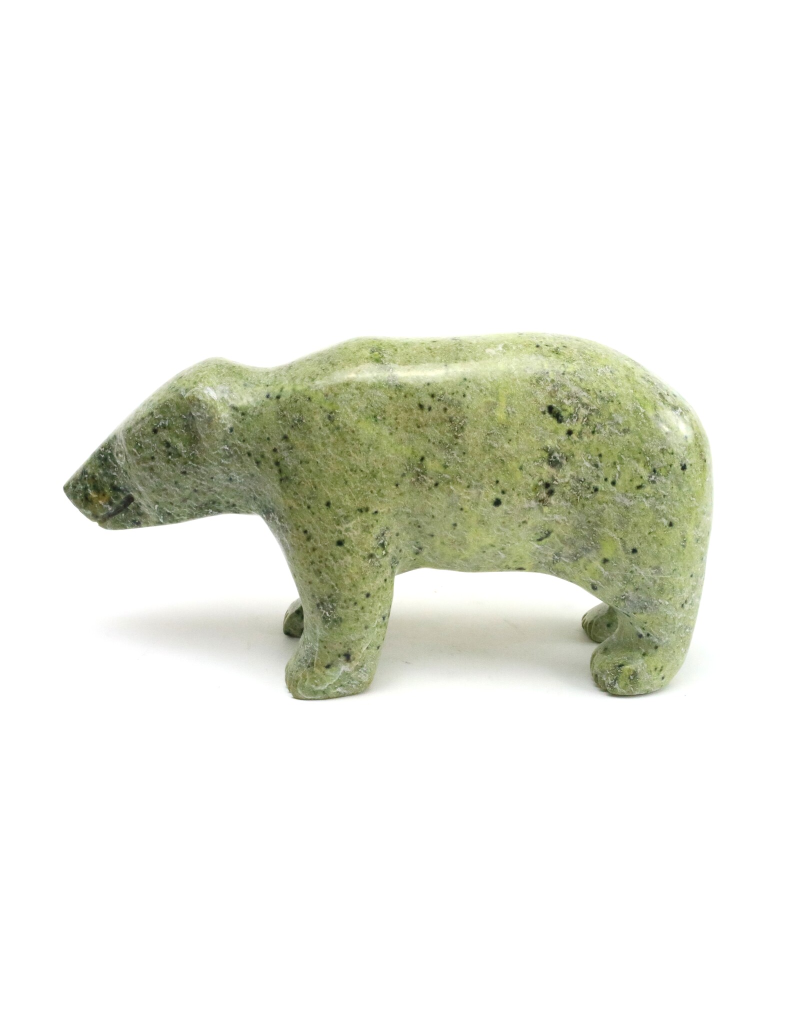 Kimmirut Bear
