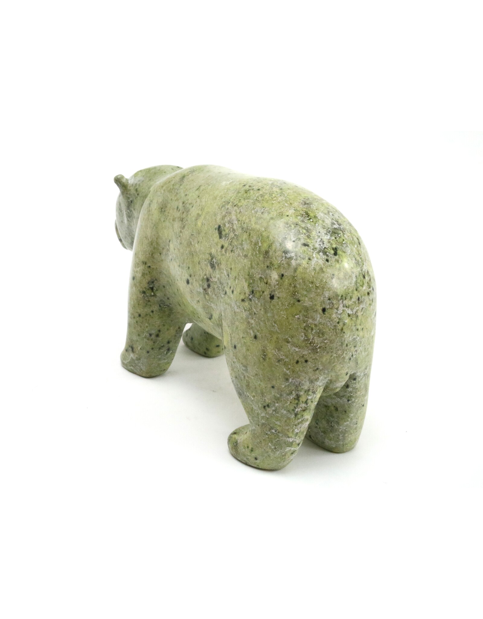 Kimmirut Bear