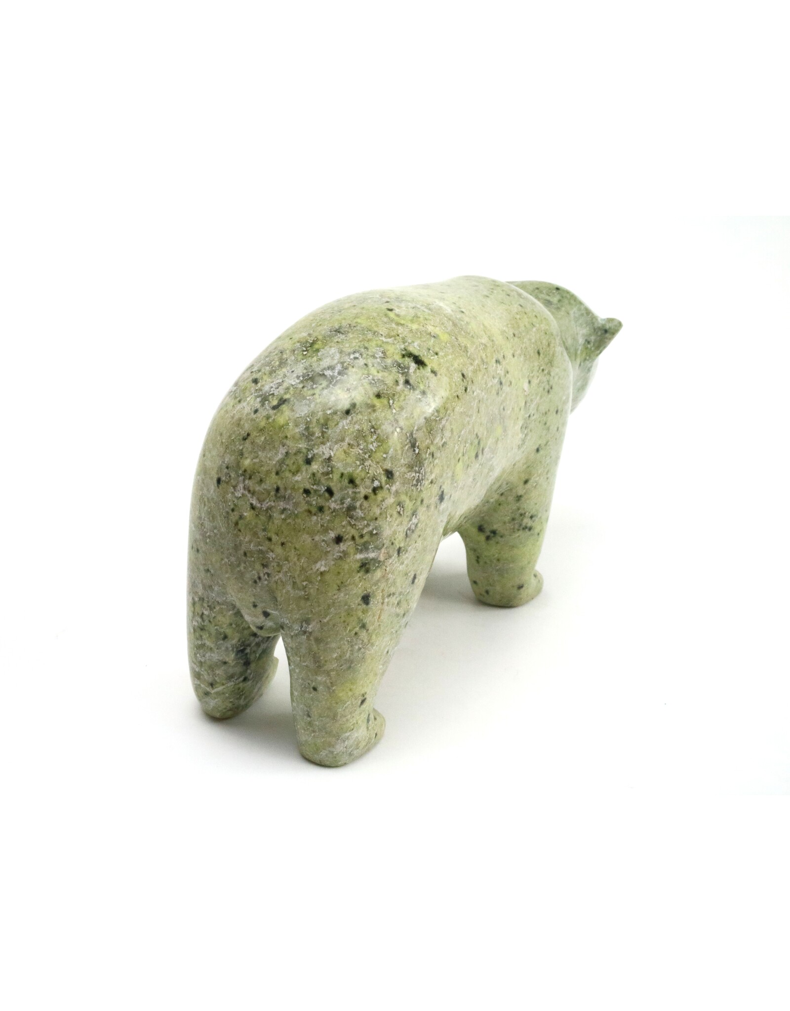 Kimmirut Bear