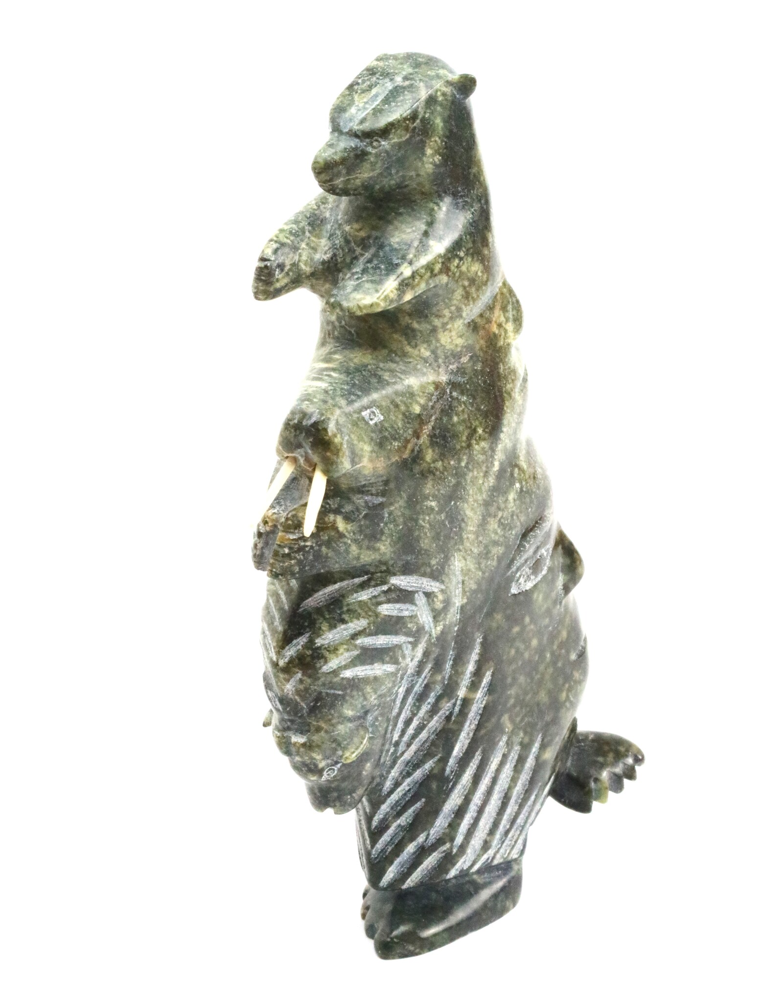 Kinngait [Cape Dorset] Transformation