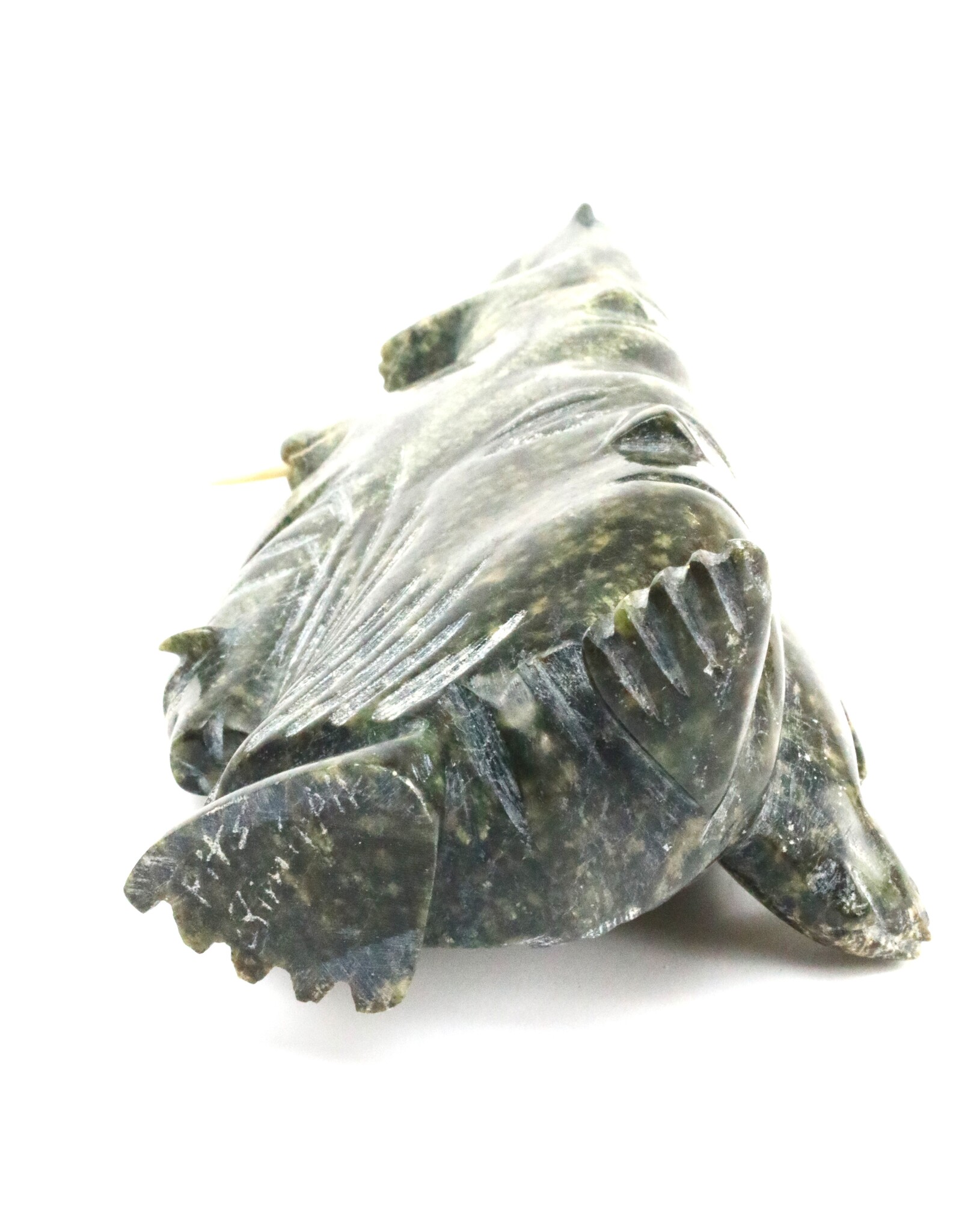 Kinngait [Cape Dorset] Transformation