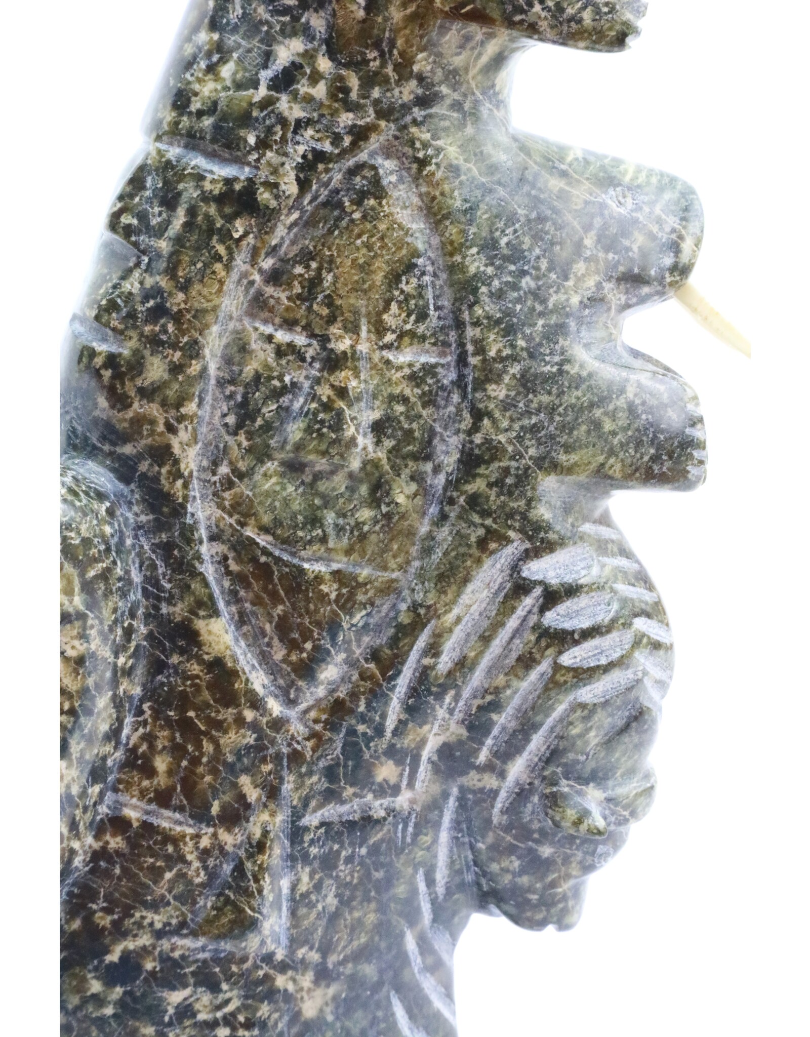 Kinngait [Cape Dorset] Transformation