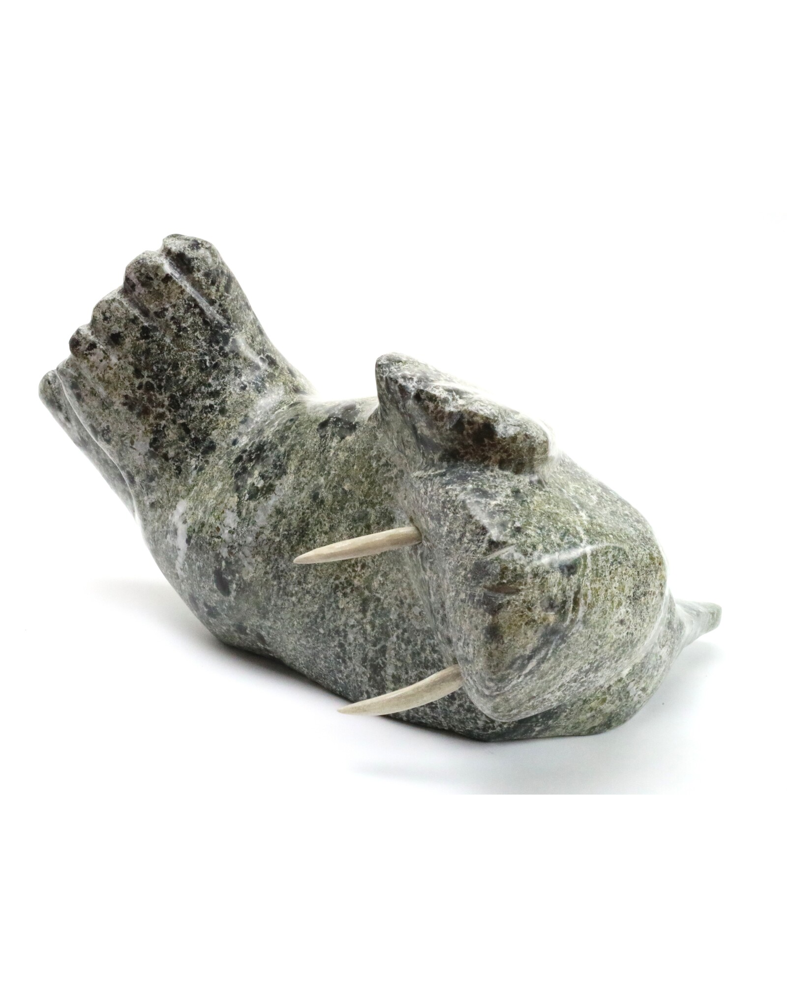 Kimmirut Grey Walrus