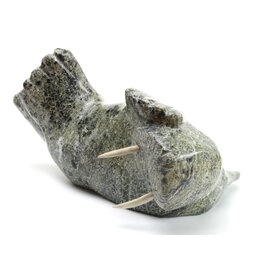 Kimmirut Grey Walrus