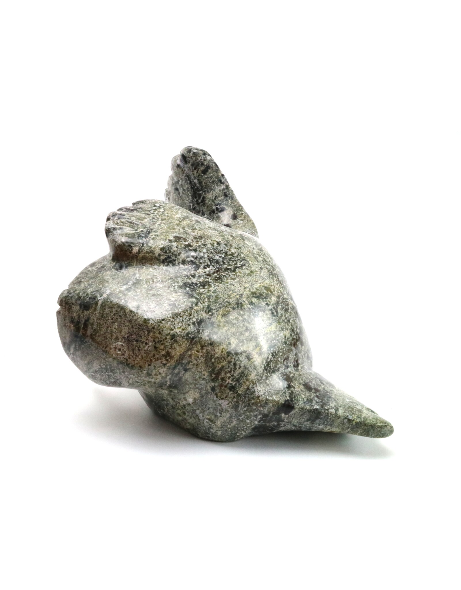 Kimmirut Grey Walrus