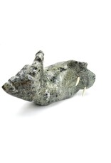 Kimmirut Grey Walrus