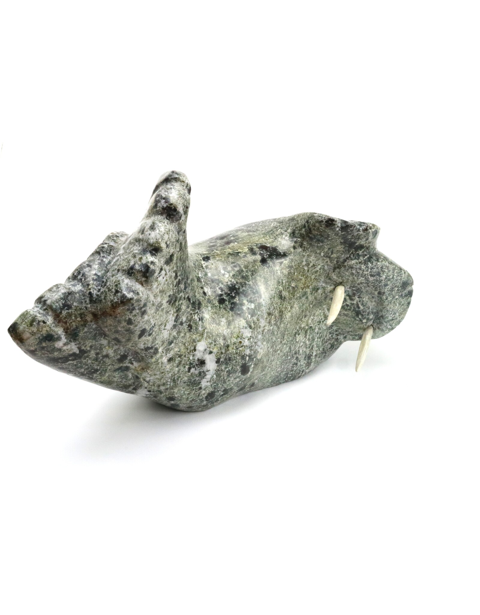 Kimmirut Grey Walrus
