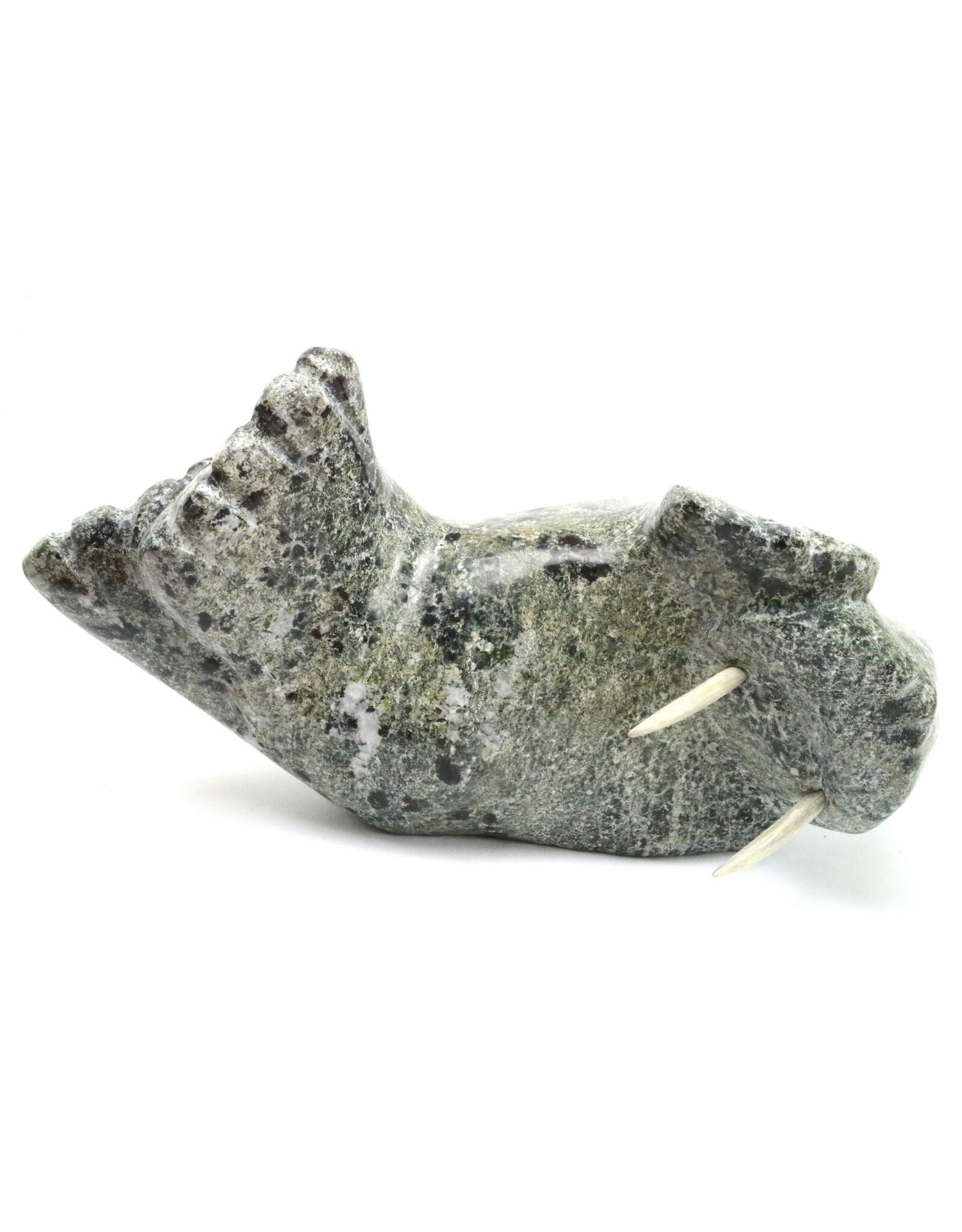 Kimmirut Grey Walrus