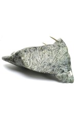 Kimmirut Grey Walrus