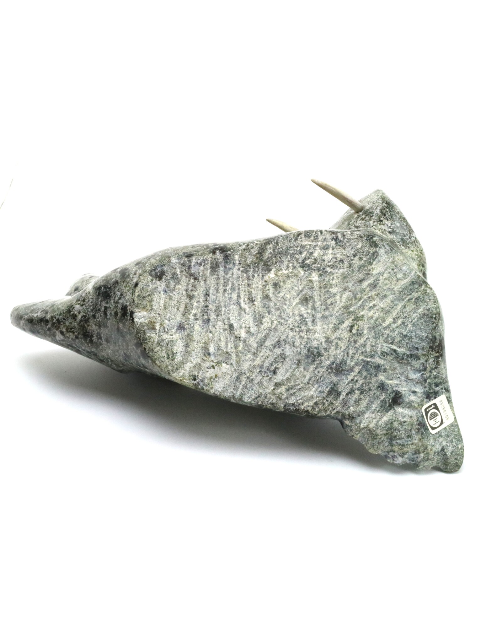 Kimmirut Grey Walrus