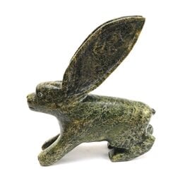 Kinngait [Cape Dorset] Arctic Hare
