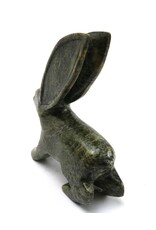 Kinngait [Cape Dorset] Arctic Hare