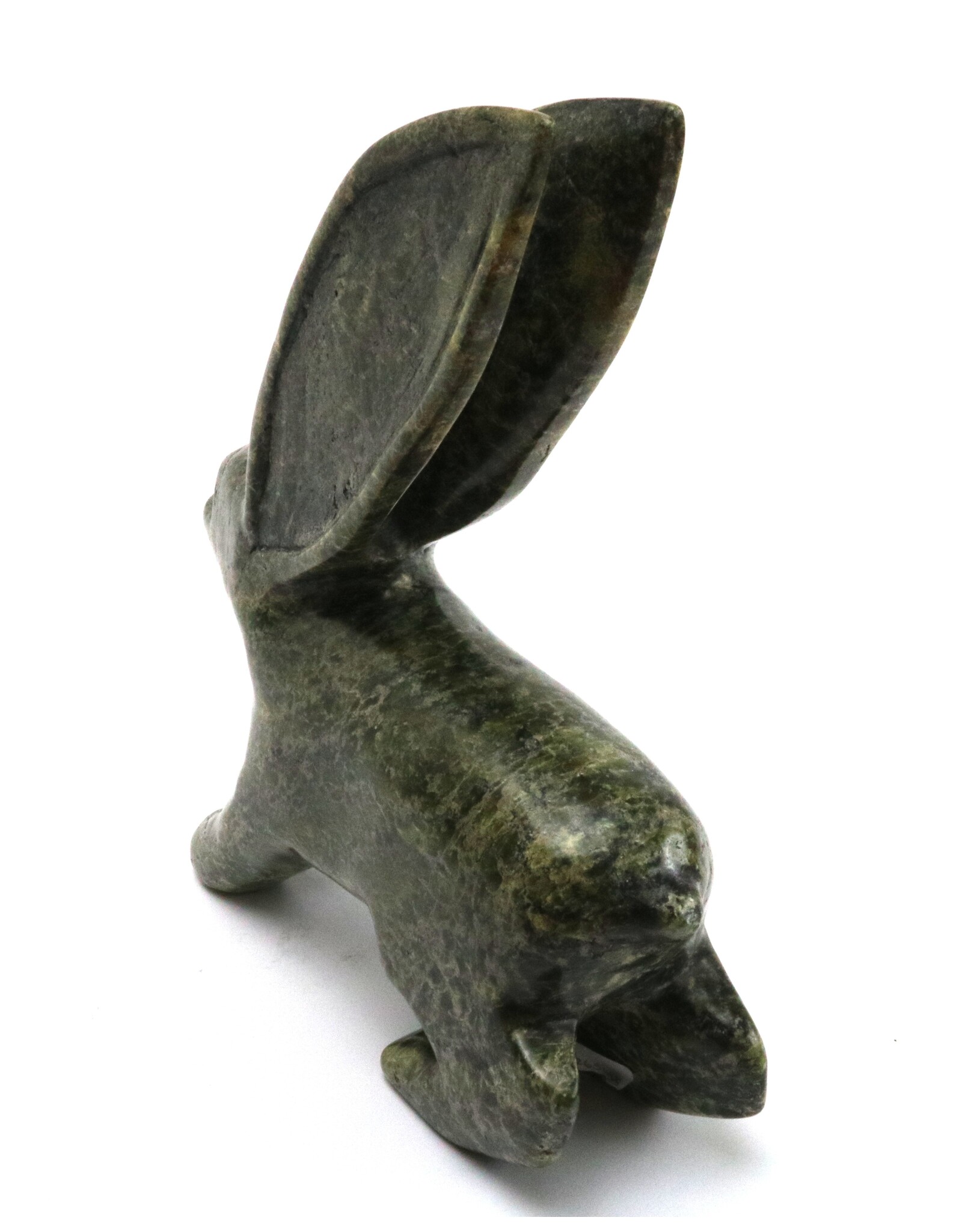 Kinngait [Cape Dorset] Arctic Hare