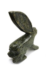 Kinngait [Cape Dorset] Arctic Hare