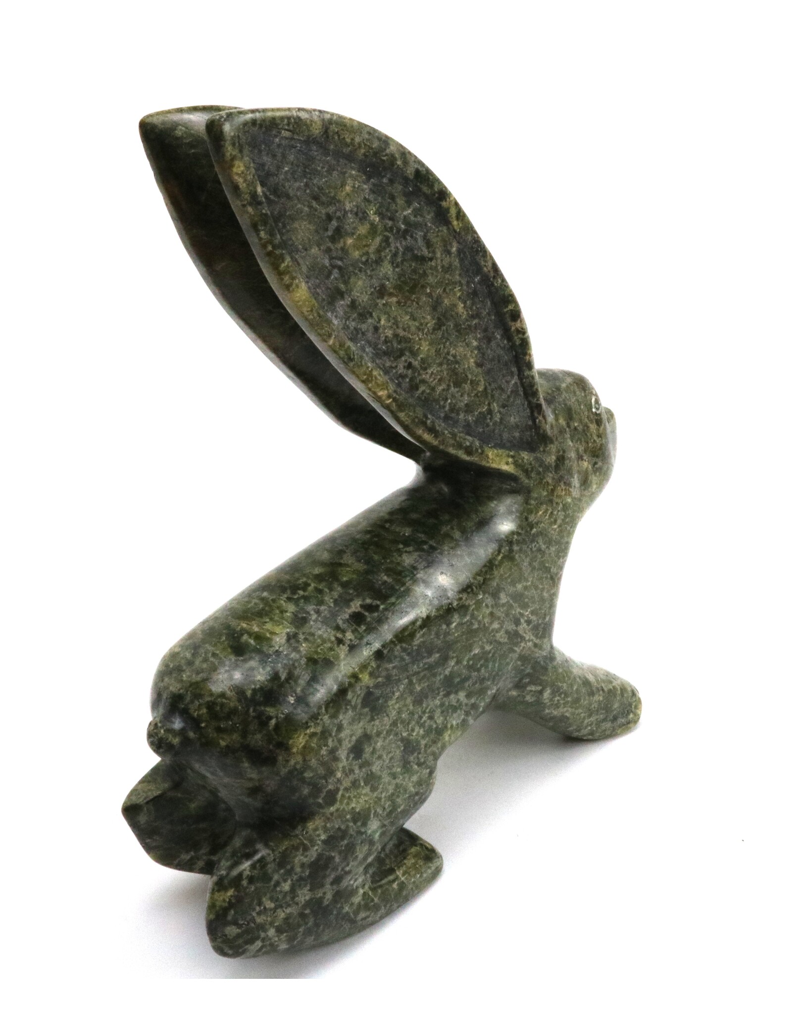 Kinngait [Cape Dorset] Arctic Hare