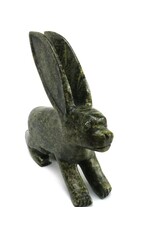 Kinngait [Cape Dorset] Arctic Hare