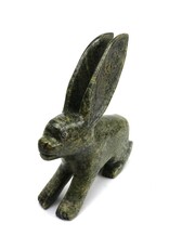 Kinngait [Cape Dorset] Arctic Hare