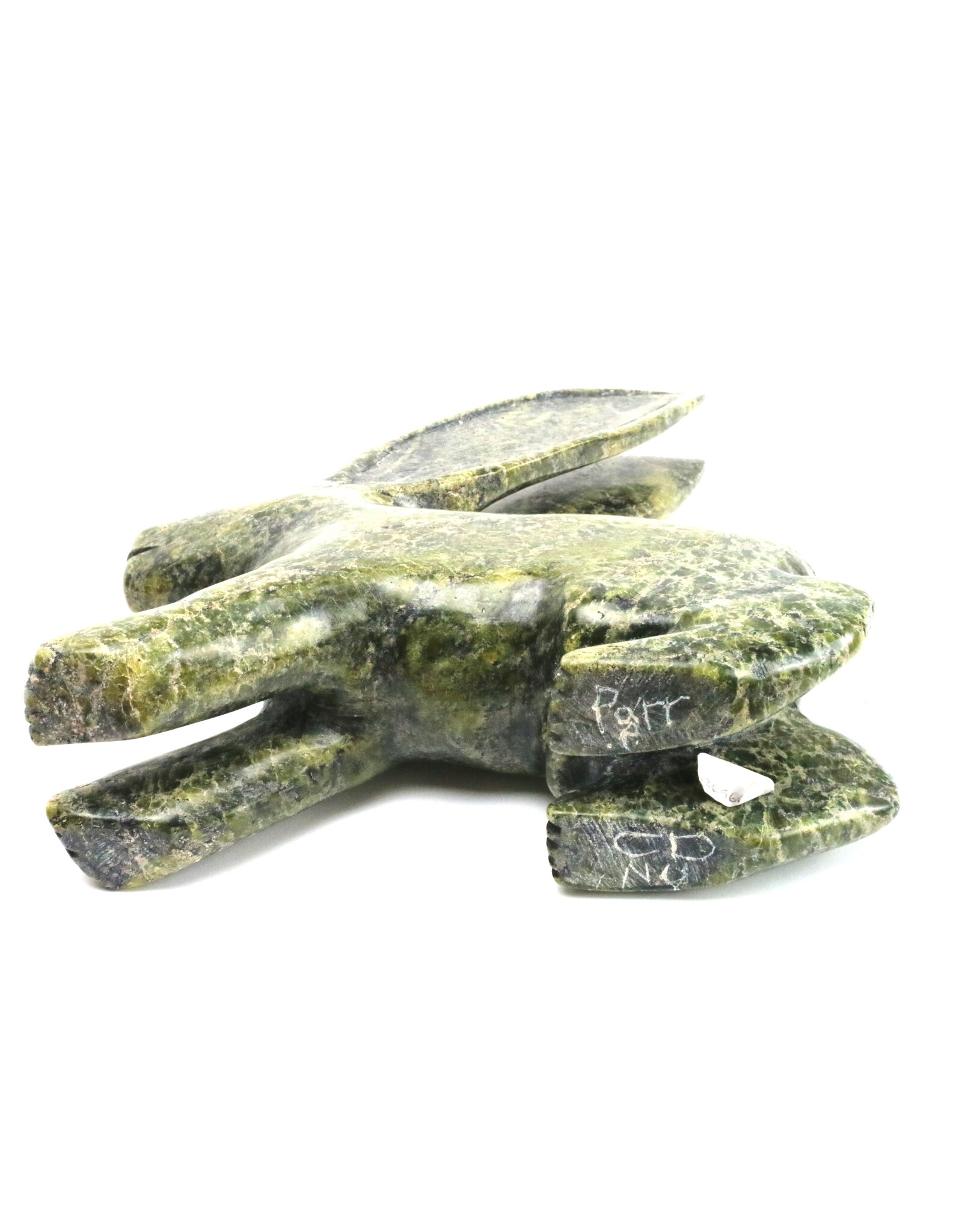 Kinngait [Cape Dorset] Arctic Hare