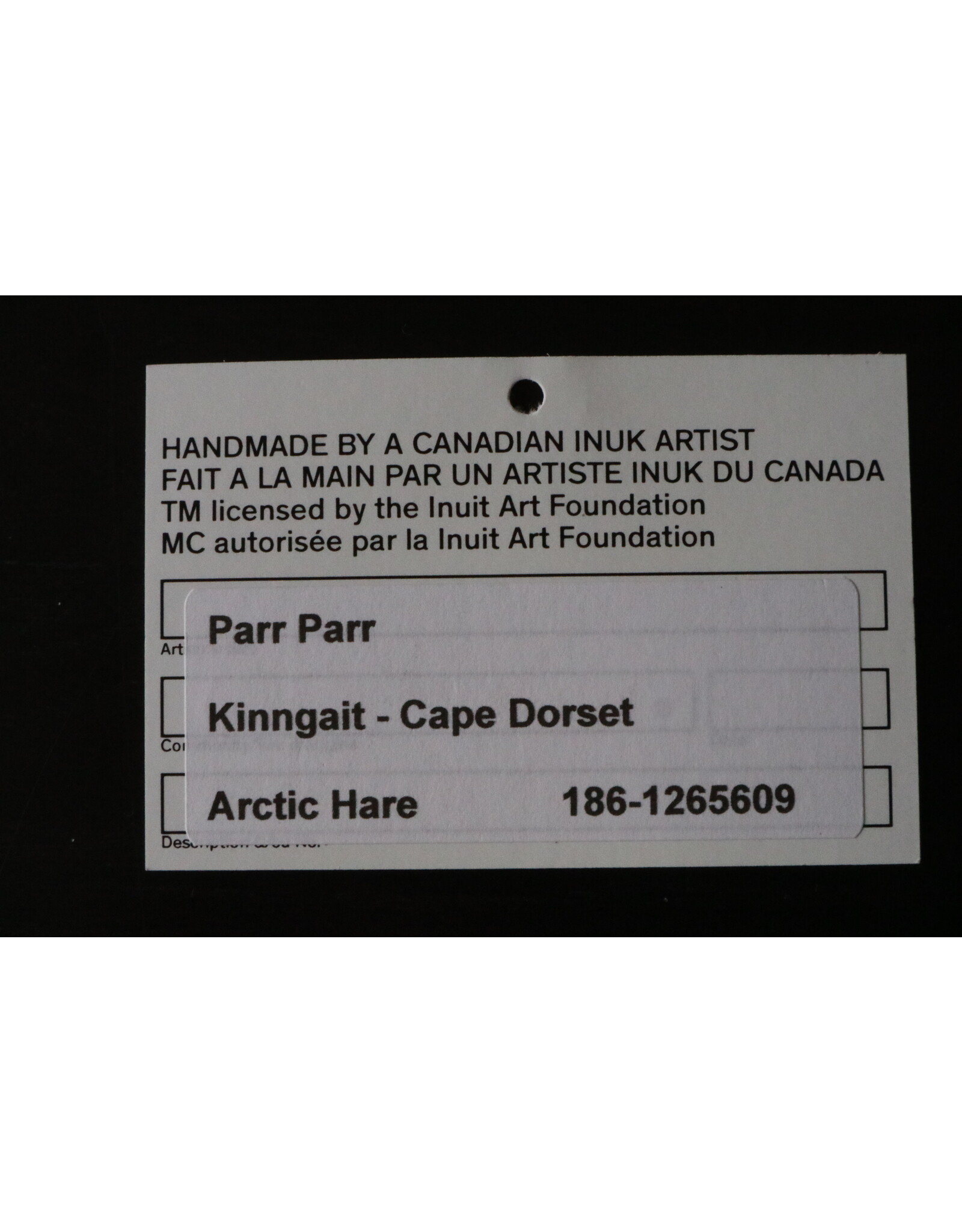 Kinngait [Cape Dorset] Arctic Hare