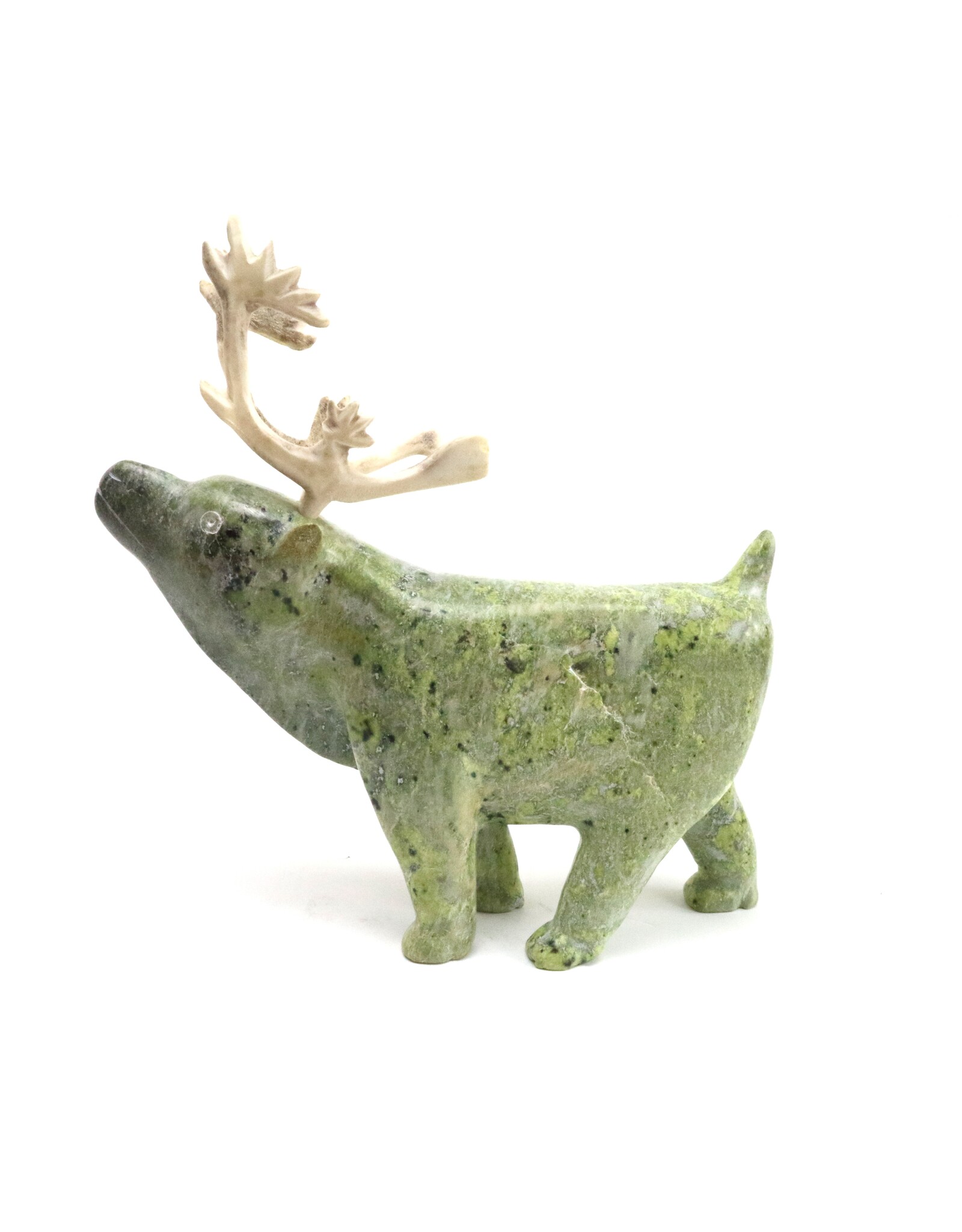 Kinngait [Cape Dorset] Caribou