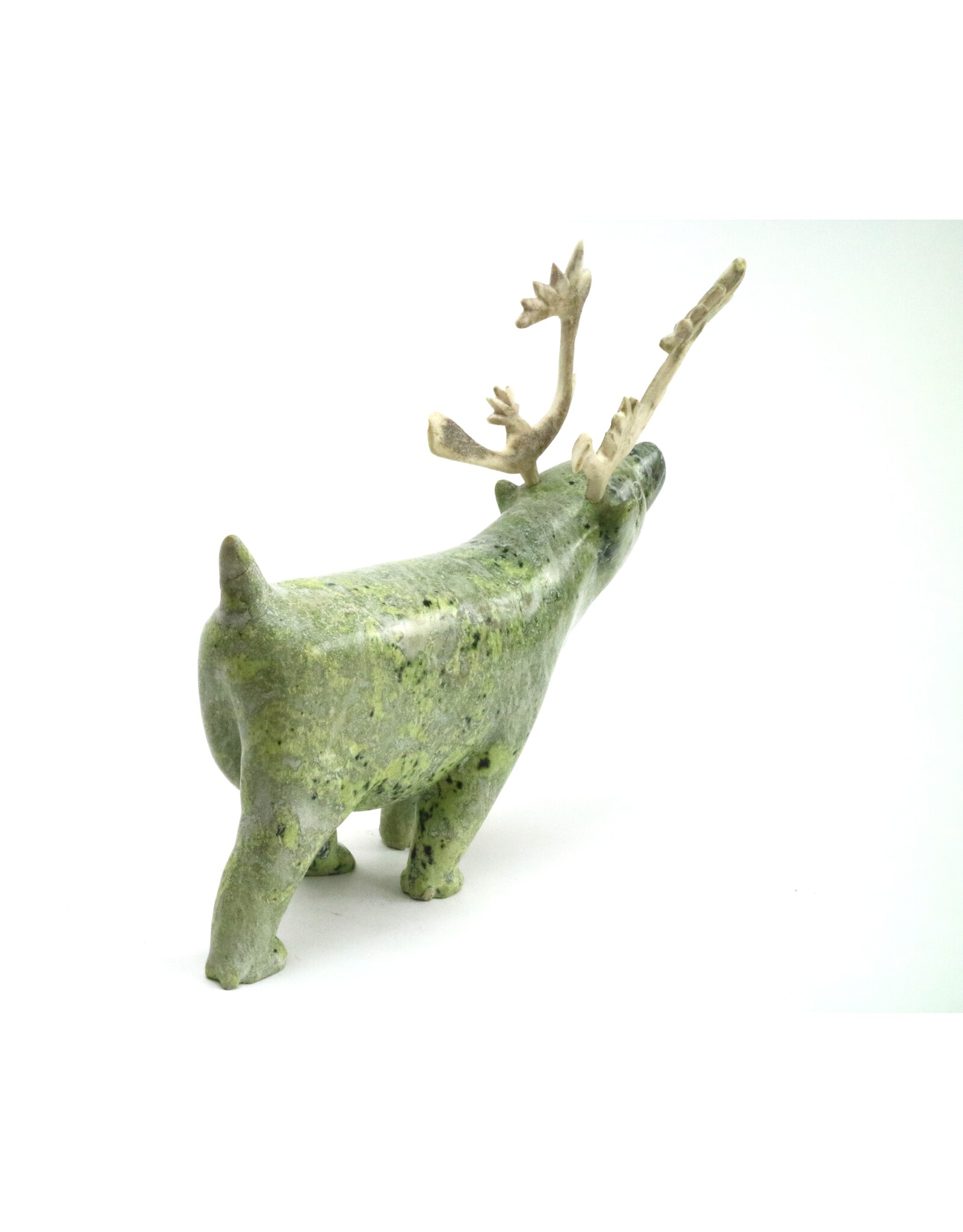 Kinngait [Cape Dorset] Caribou