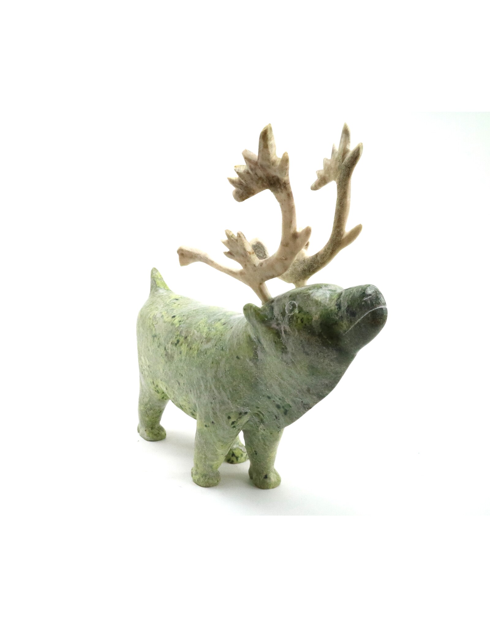 Kinngait [Cape Dorset] Caribou