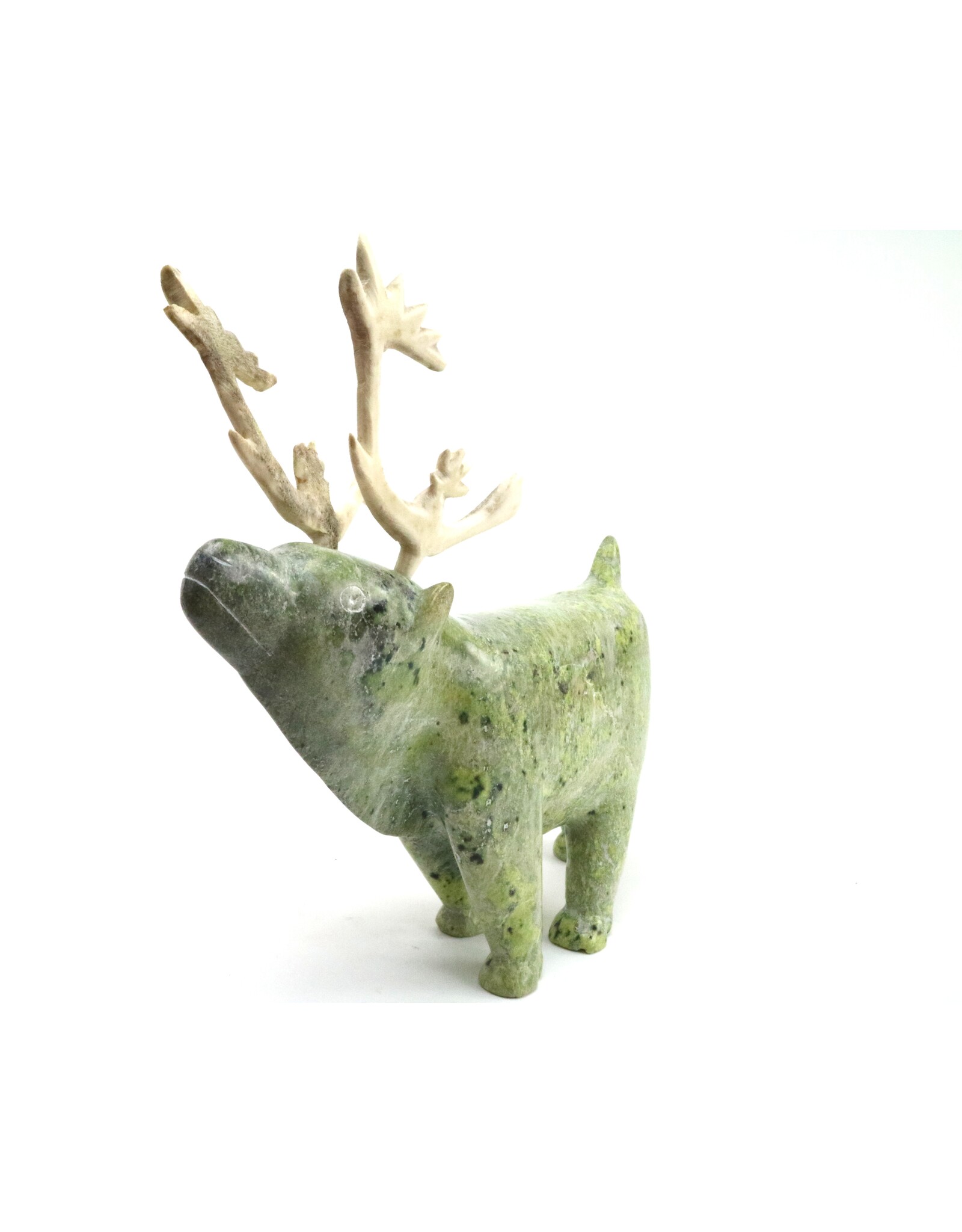 Kinngait [Cape Dorset] Caribou